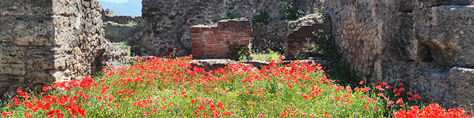 Giardini storici e luoghi patrimoniali