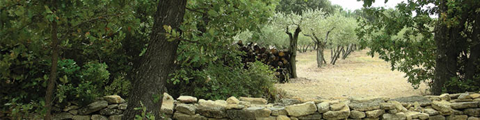 Paesaggi agrari e tutela del patrimonio naturale e culturale